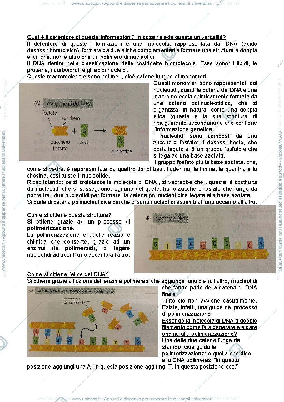 Anteprima pagina 3 — Sbobina