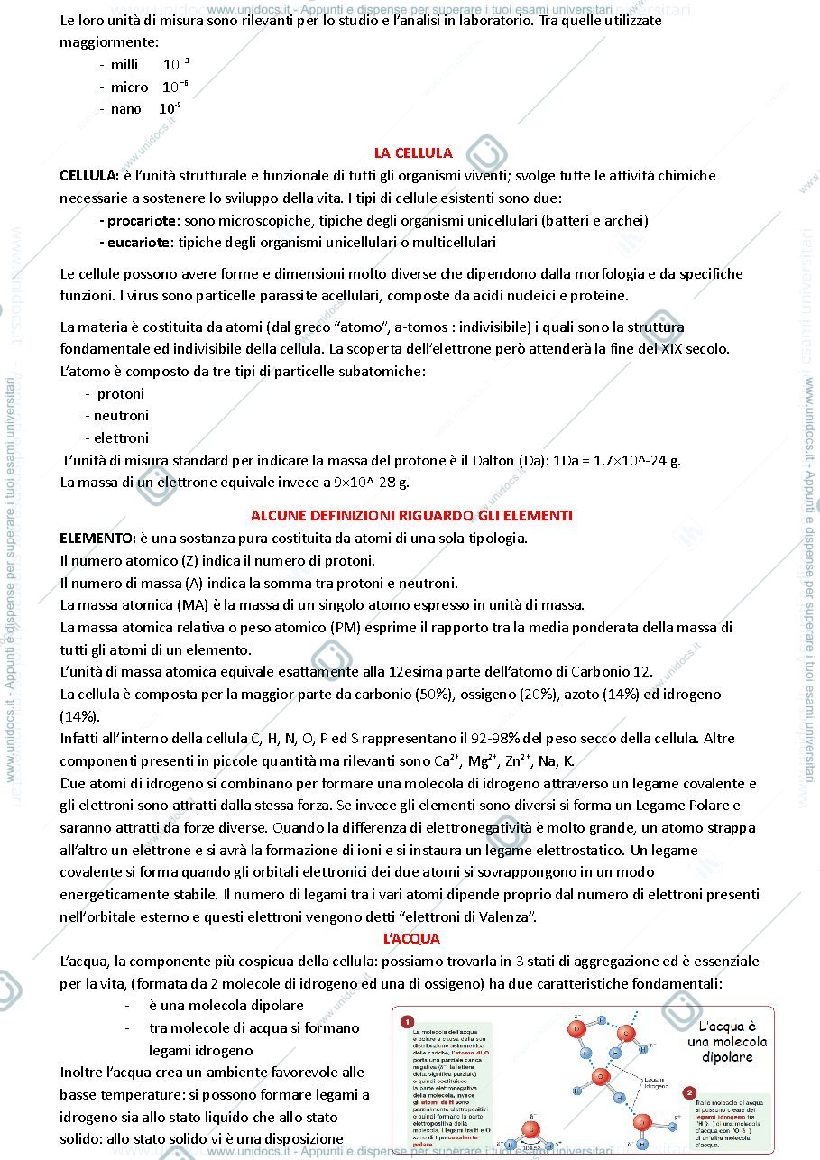 Anteprima pagina 2 — Cos’è la biologia?
