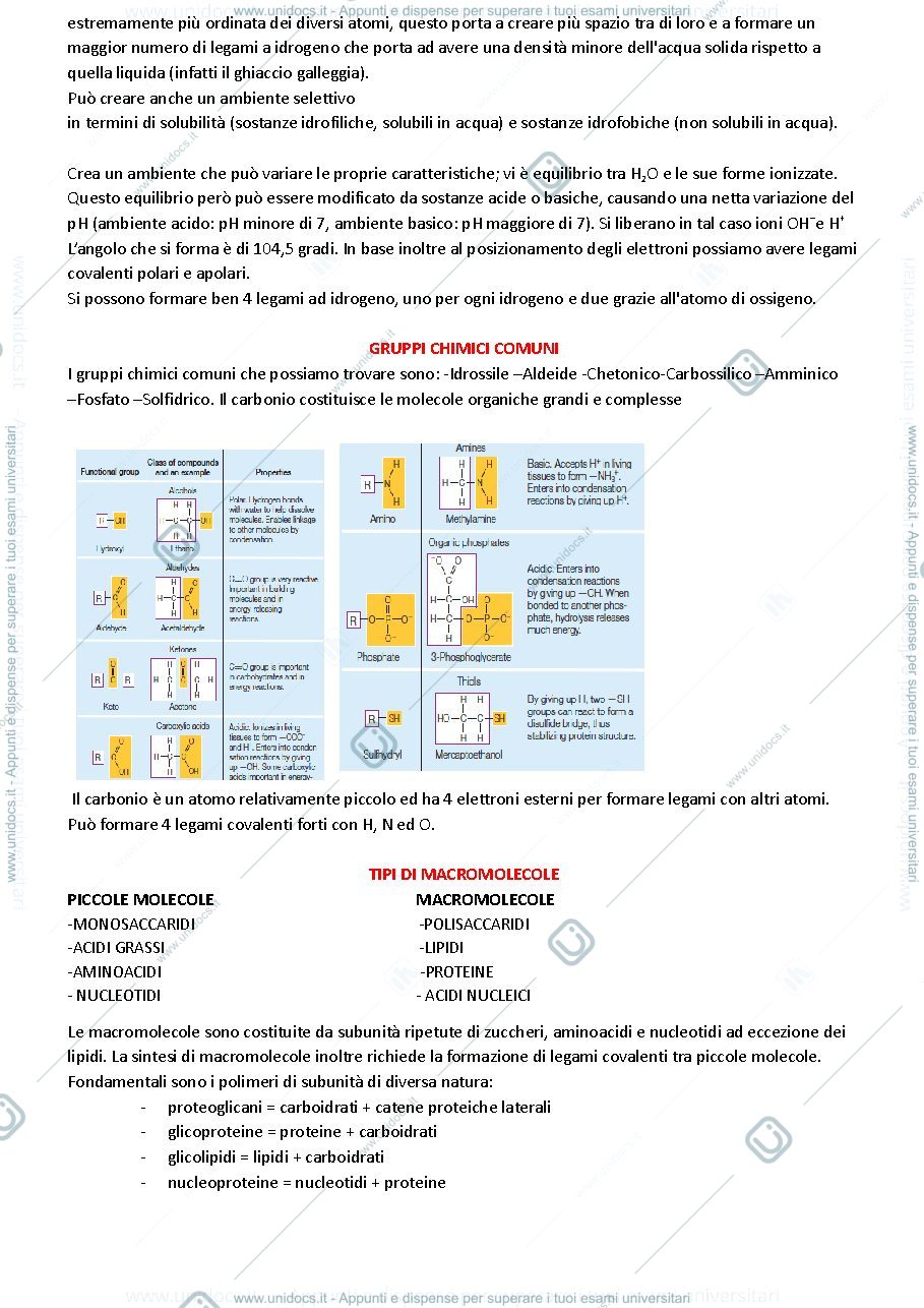 Anteprima pagina 3 — Cos’è la biologia?