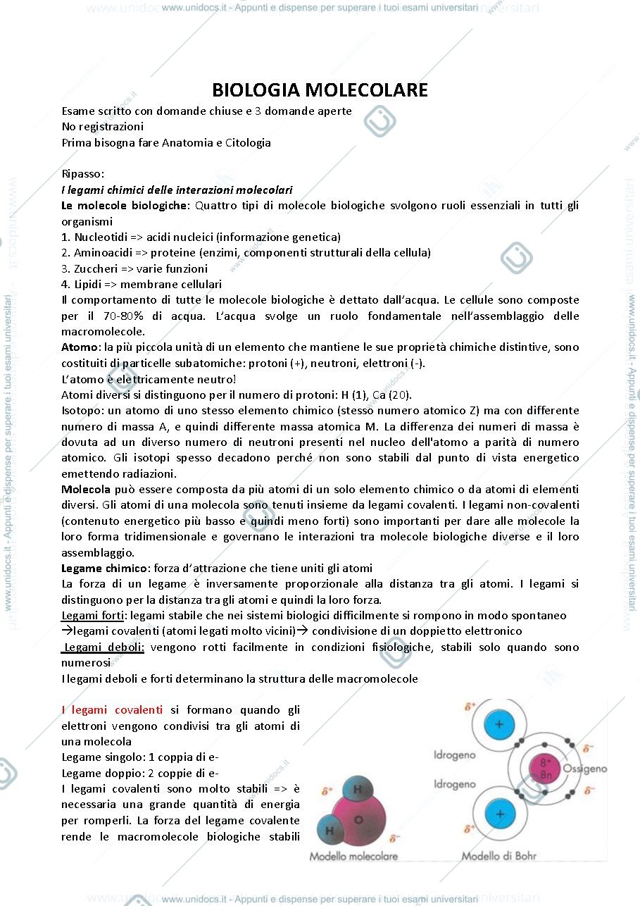 Anteprima pagina 1 — Biologia Molecolari