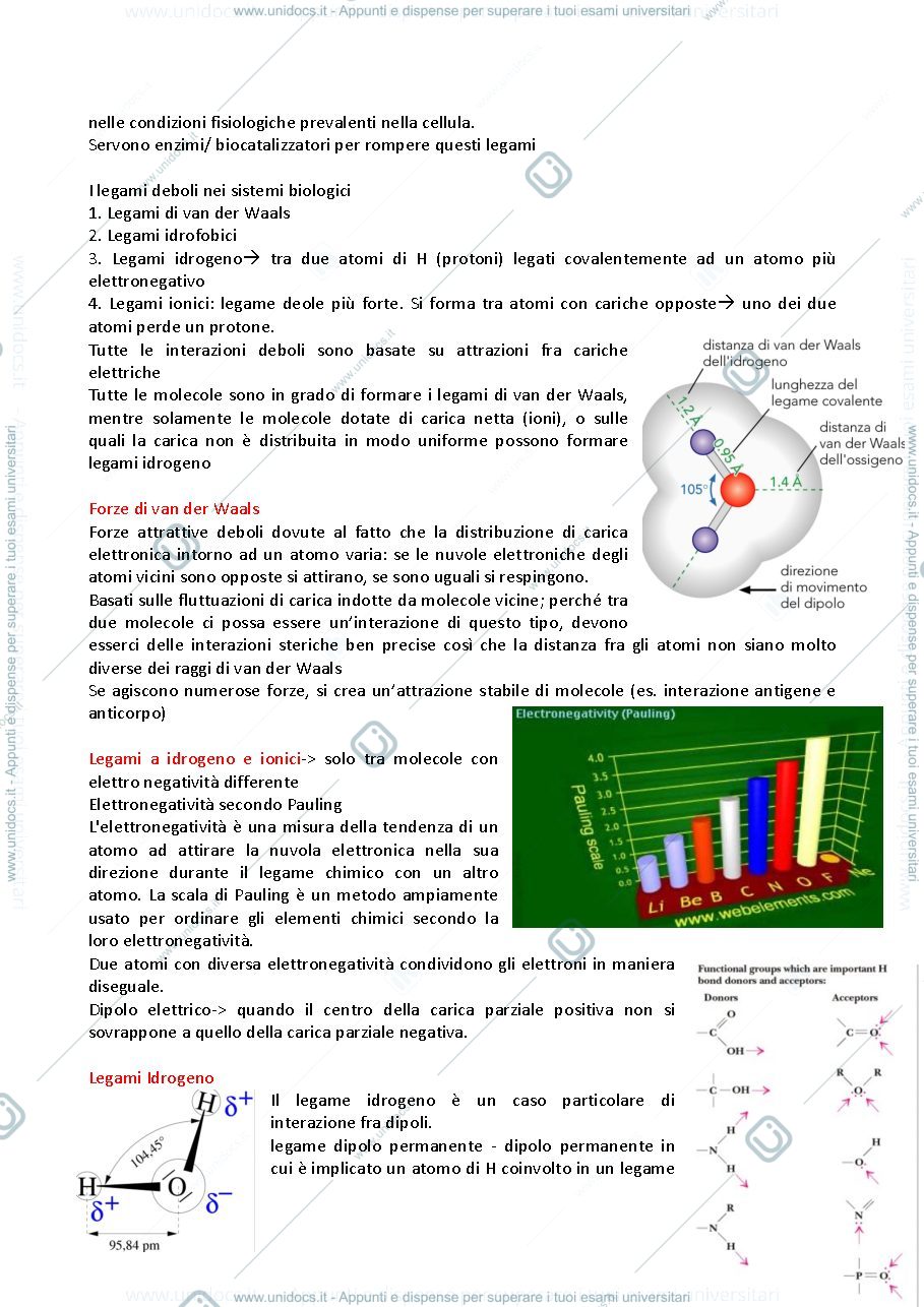 Anteprima pagina 2 — Biologia Molecolari