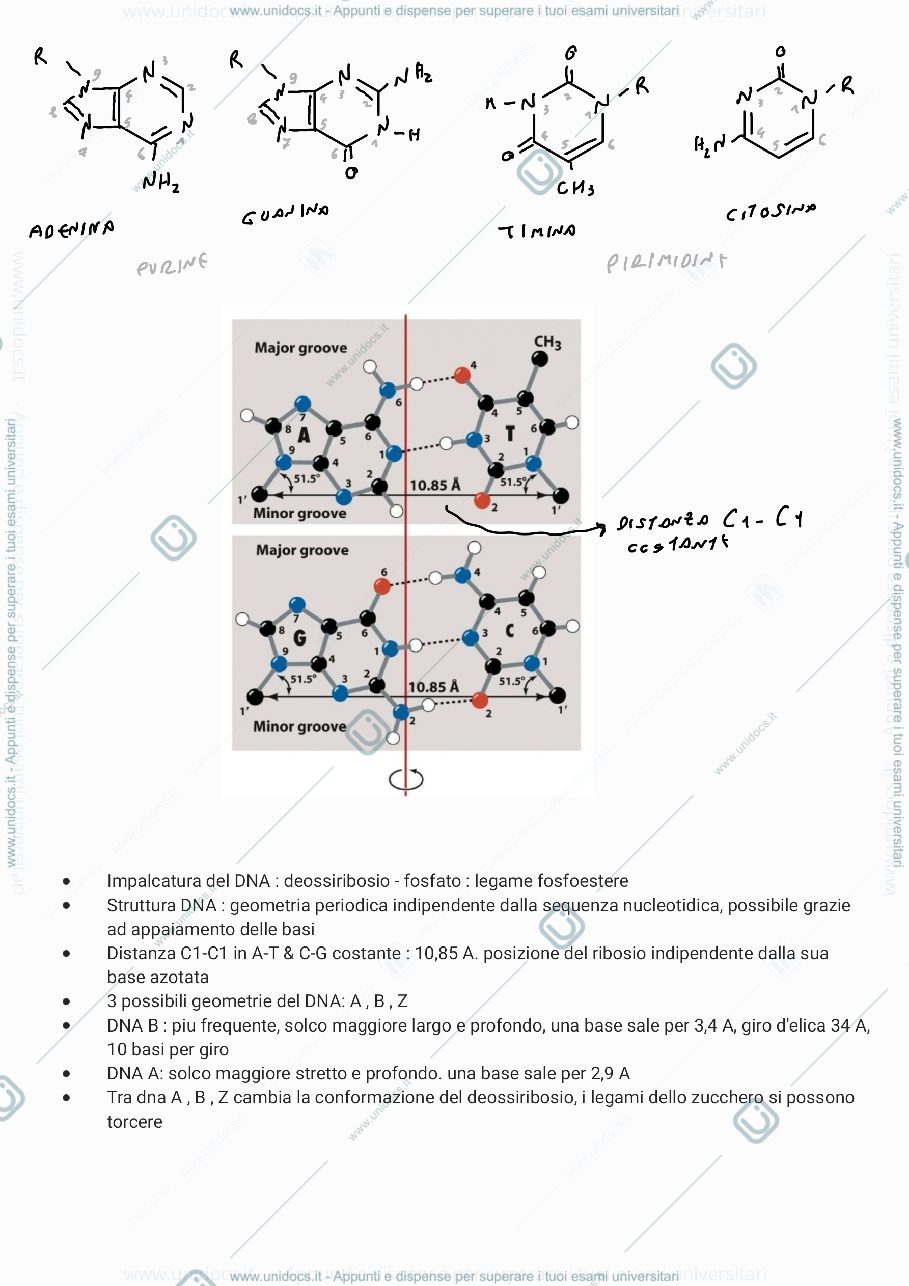 Anteprima pagina 3 — Biologia molecolare - mattevi parte 1