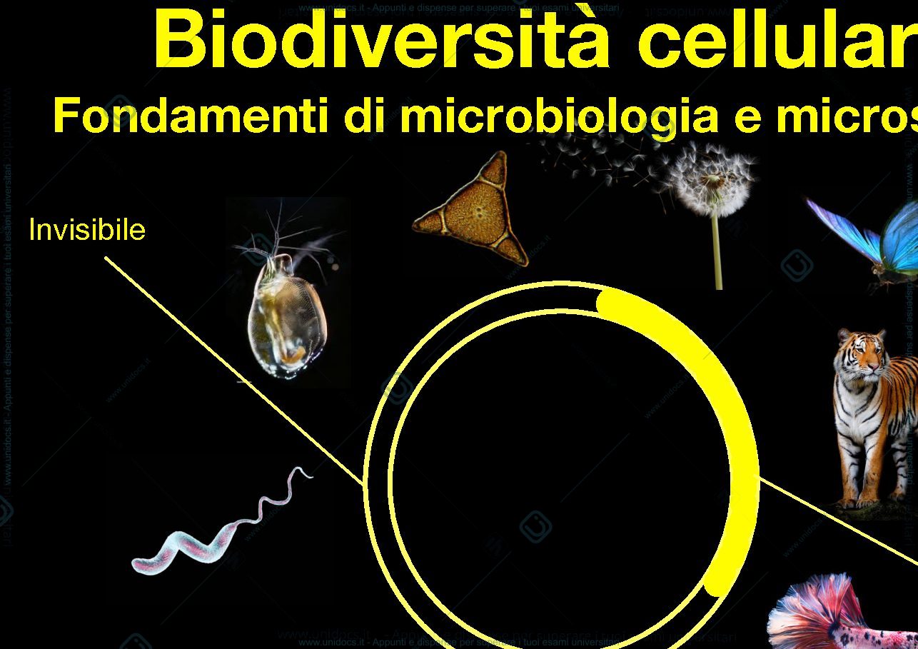 Anteprima pagina 1 — Biologia Molecolare