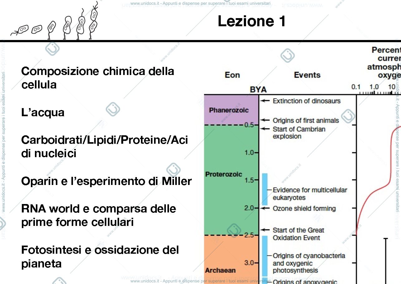 Anteprima pagina 2 — Biologia Molecolare