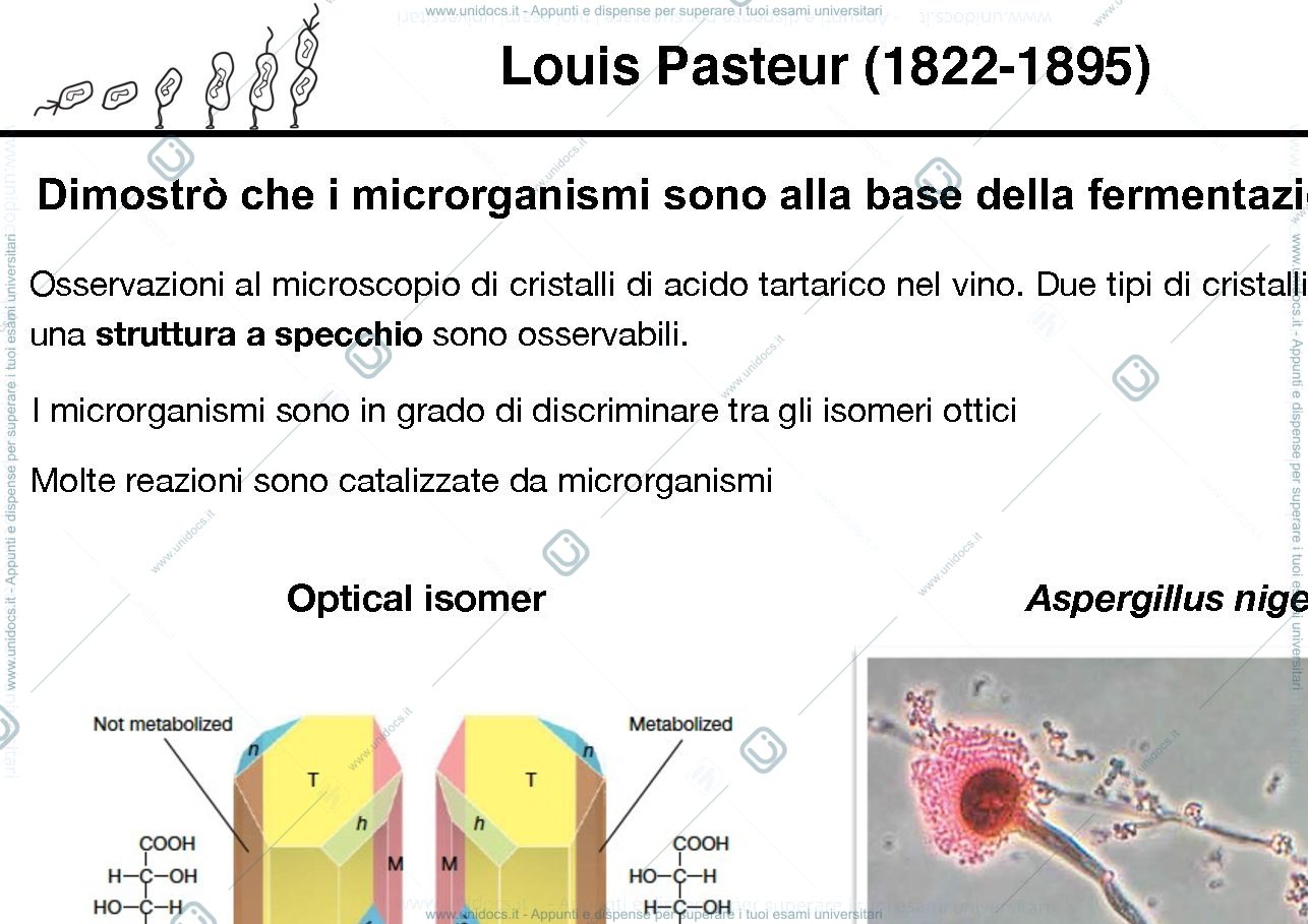 Anteprima pagina 4 — Biologia Molecolare
