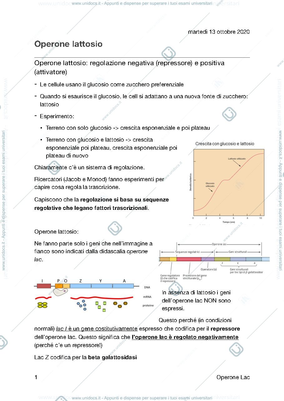 Anteprima pagina 1 — Operone  lac