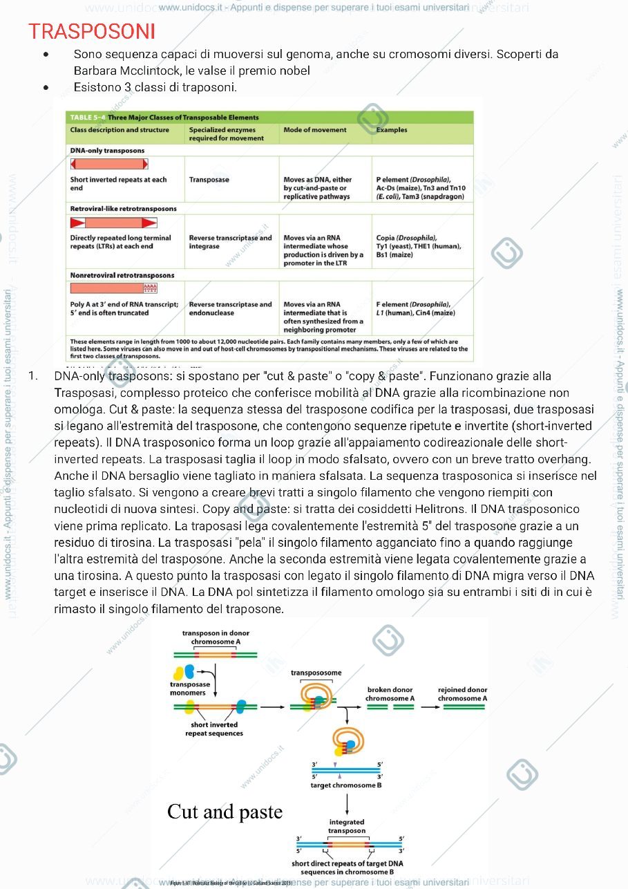 Anteprima pagina 1 — Biologia molecolare - mattevi parte 2 