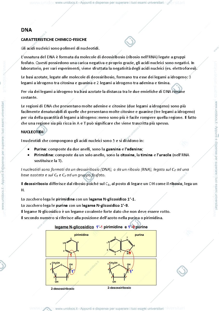 Anteprima pagina 5 — Sbobine Biologia Molecolare 2023-2024