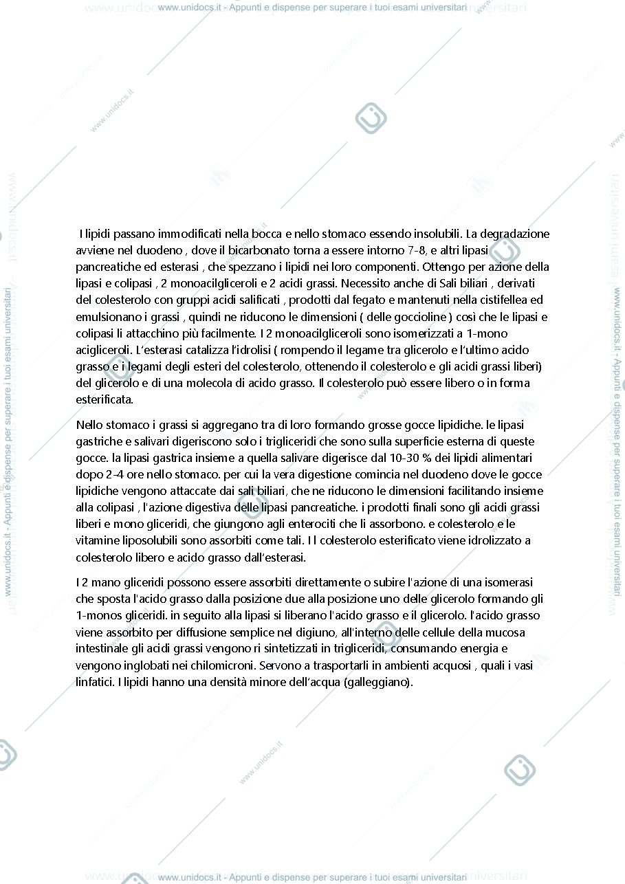 Anteprima pagina 3 — metabolismo lipidi