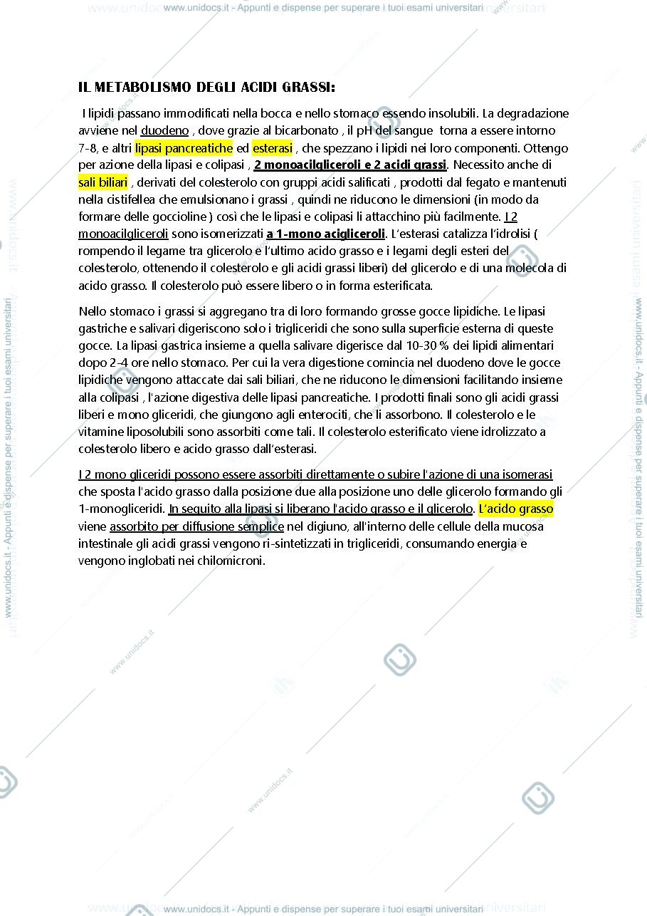 Anteprima pagina 1 — metabolismo acidi grassi