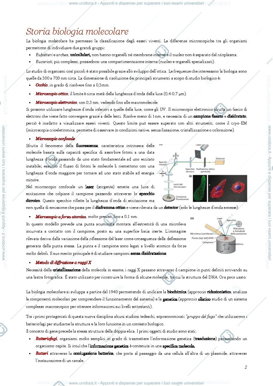 Anteprima pagina 3 — Appunti biologia molecolare