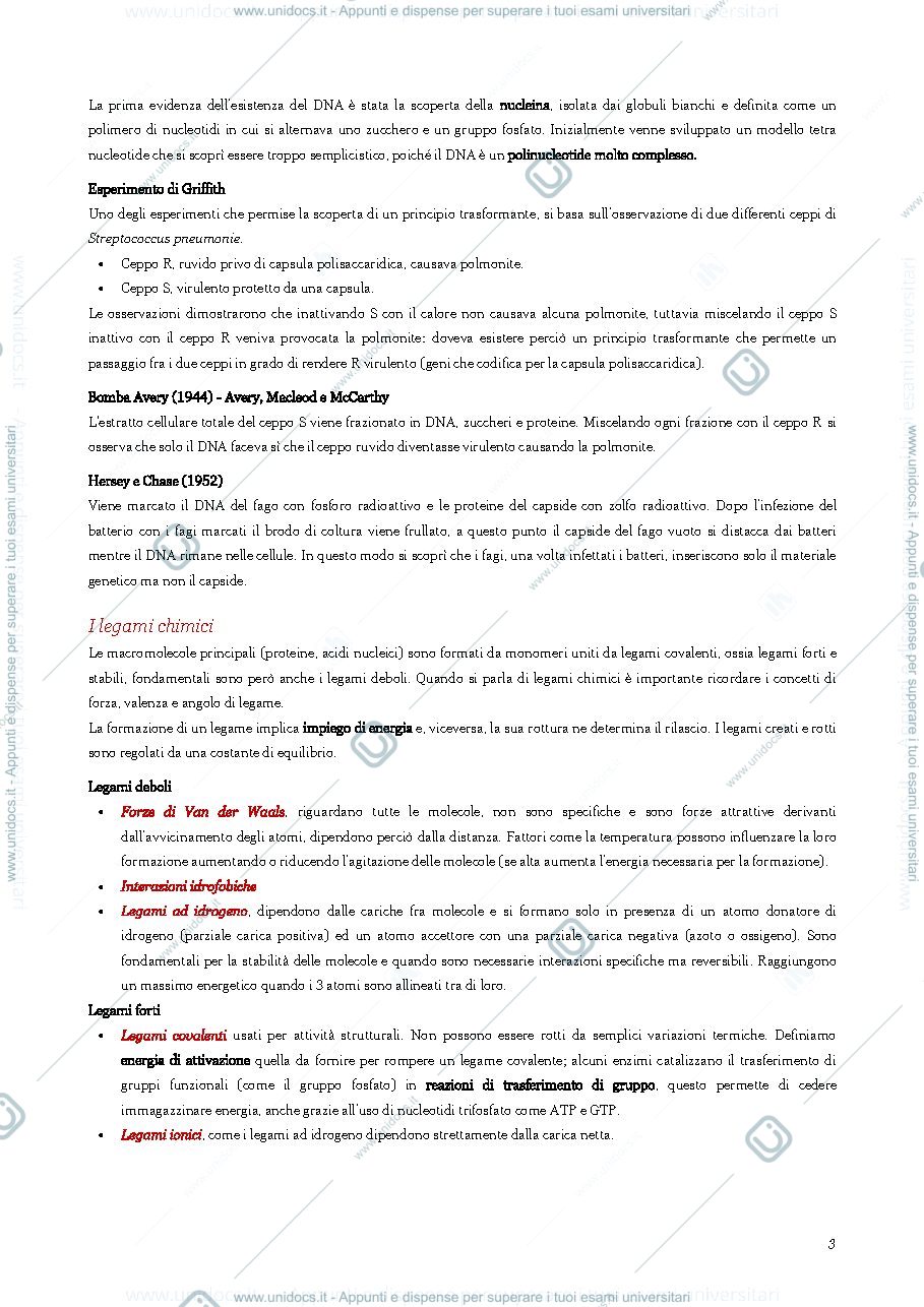 Anteprima pagina 4 — Appunti biologia molecolare