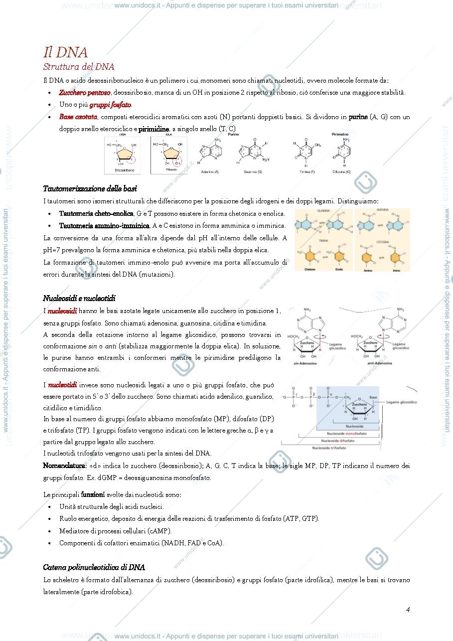 Anteprima pagina 5 — Appunti biologia molecolare