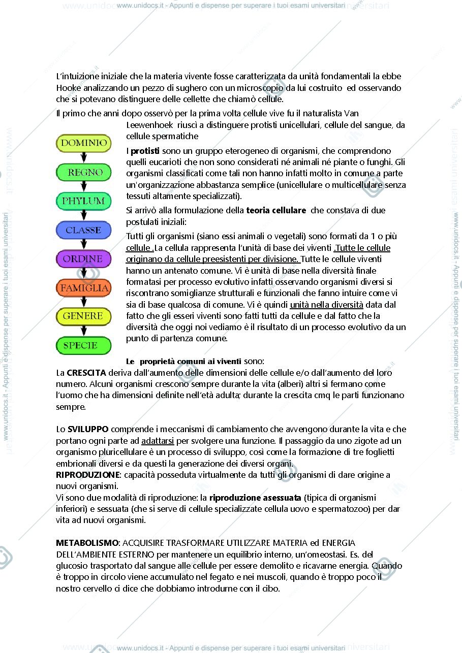 Anteprima pagina 1 — biologia