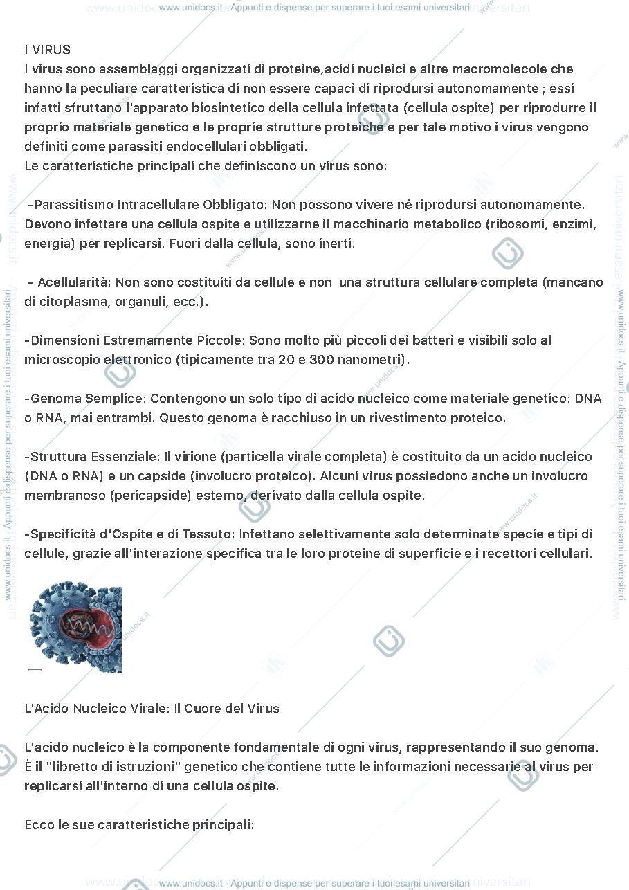 Anteprima pagina 1 — I virus