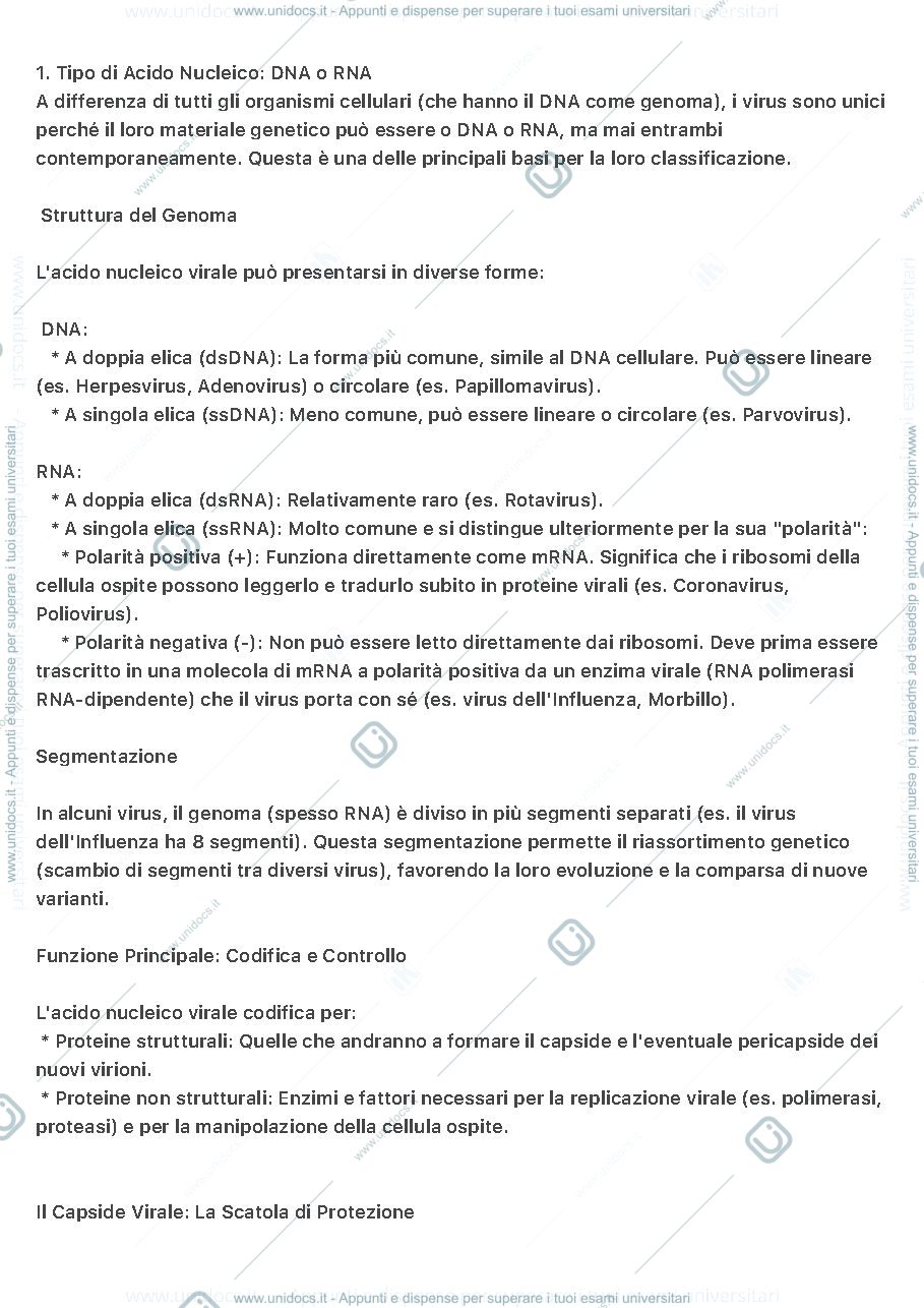 Anteprima pagina 2 — I virus