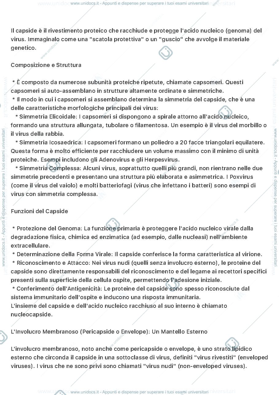 Anteprima pagina 3 — I virus
