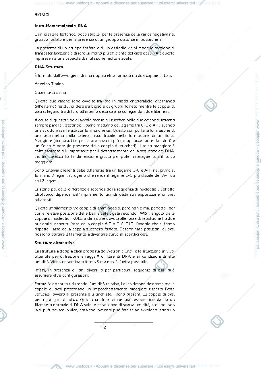 Anteprima pagina 2 — Biologia molecolare