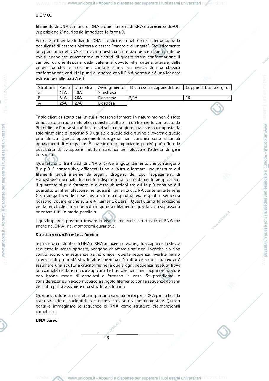 Anteprima pagina 3 — Biologia molecolare