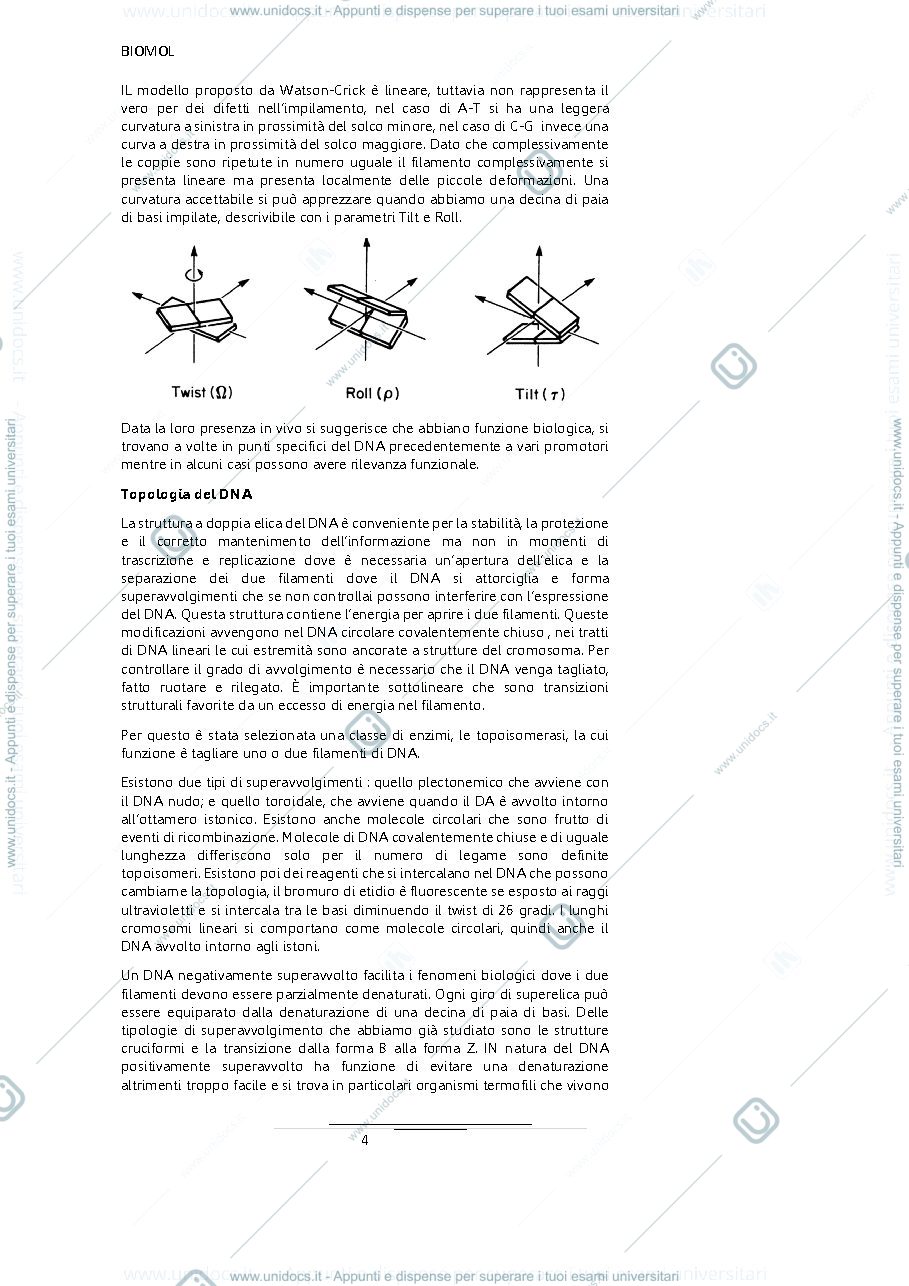 Anteprima pagina 4 — Biologia molecolare