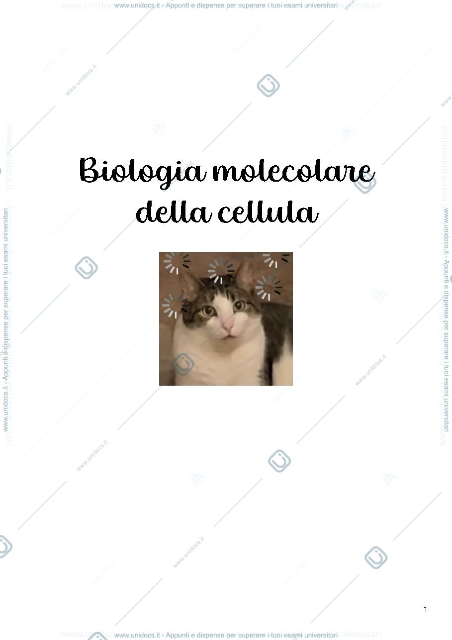 Anteprima pagina 1 — Biologia molecolare (riassunti Alberts)