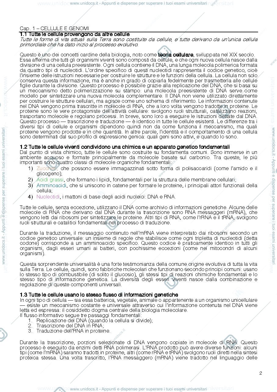 Anteprima pagina 2 — Biologia molecolare (riassunti Alberts)
