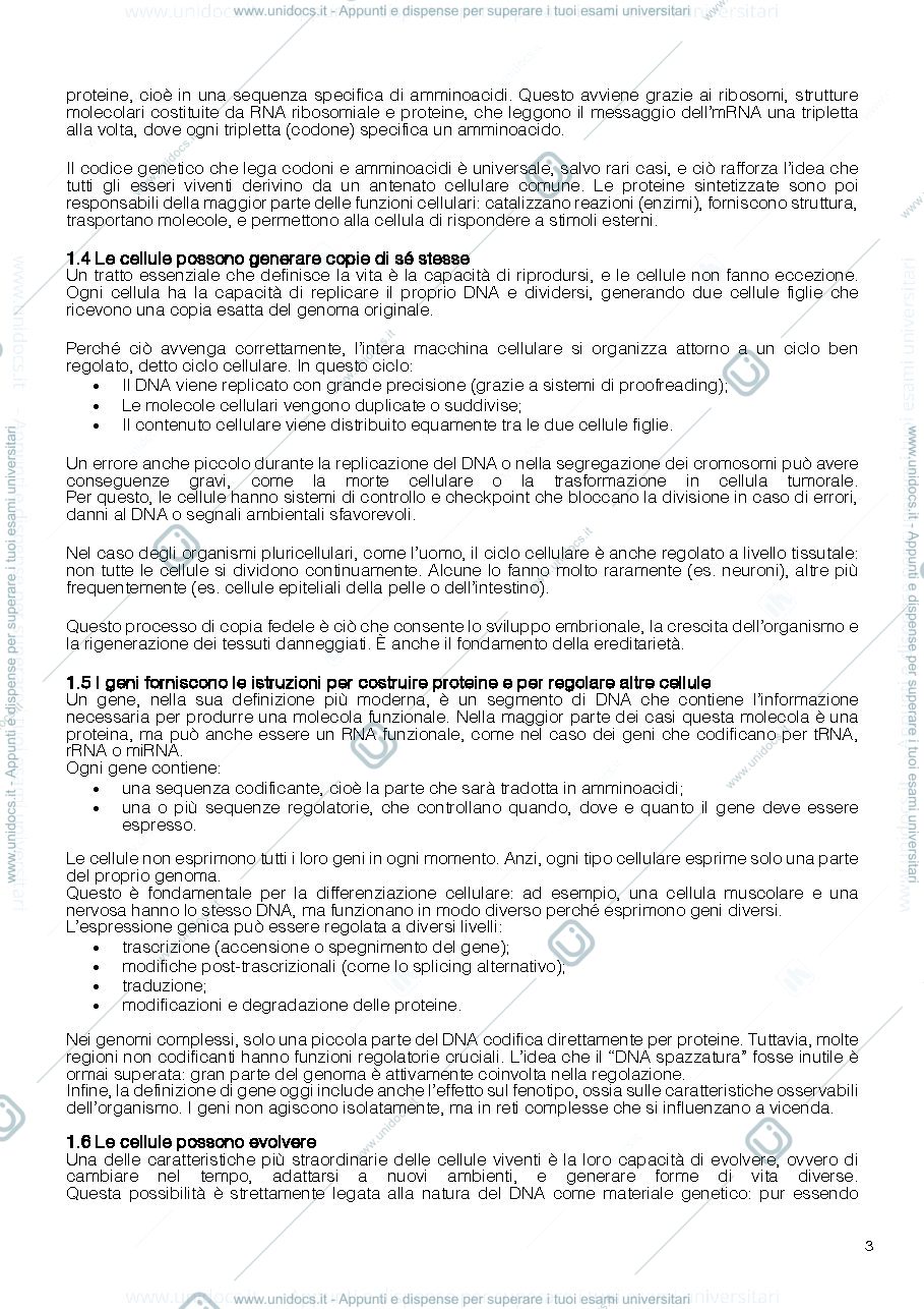 Anteprima pagina 3 — Biologia molecolare (riassunti Alberts)