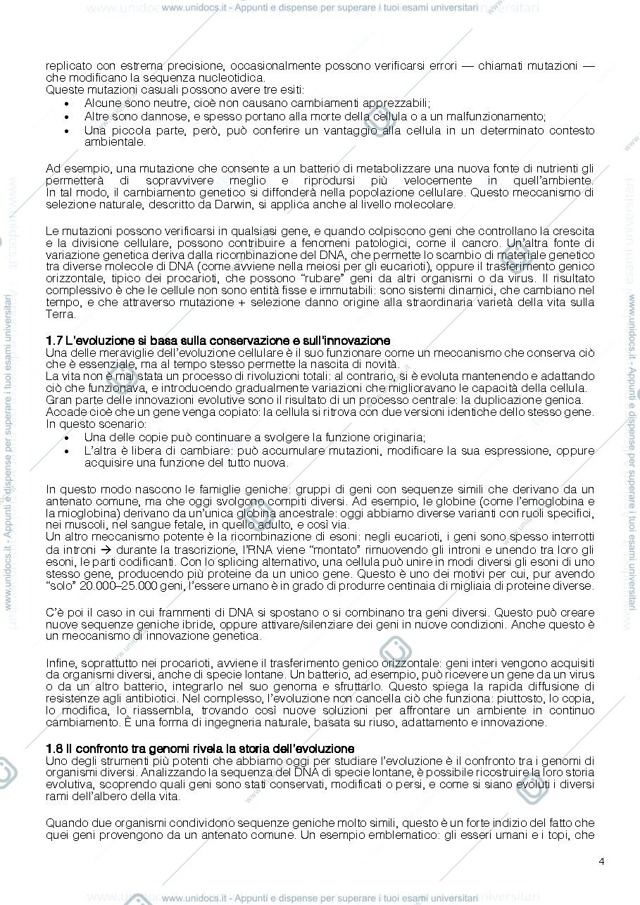 Anteprima pagina 4 — Biologia molecolare (riassunti Alberts)