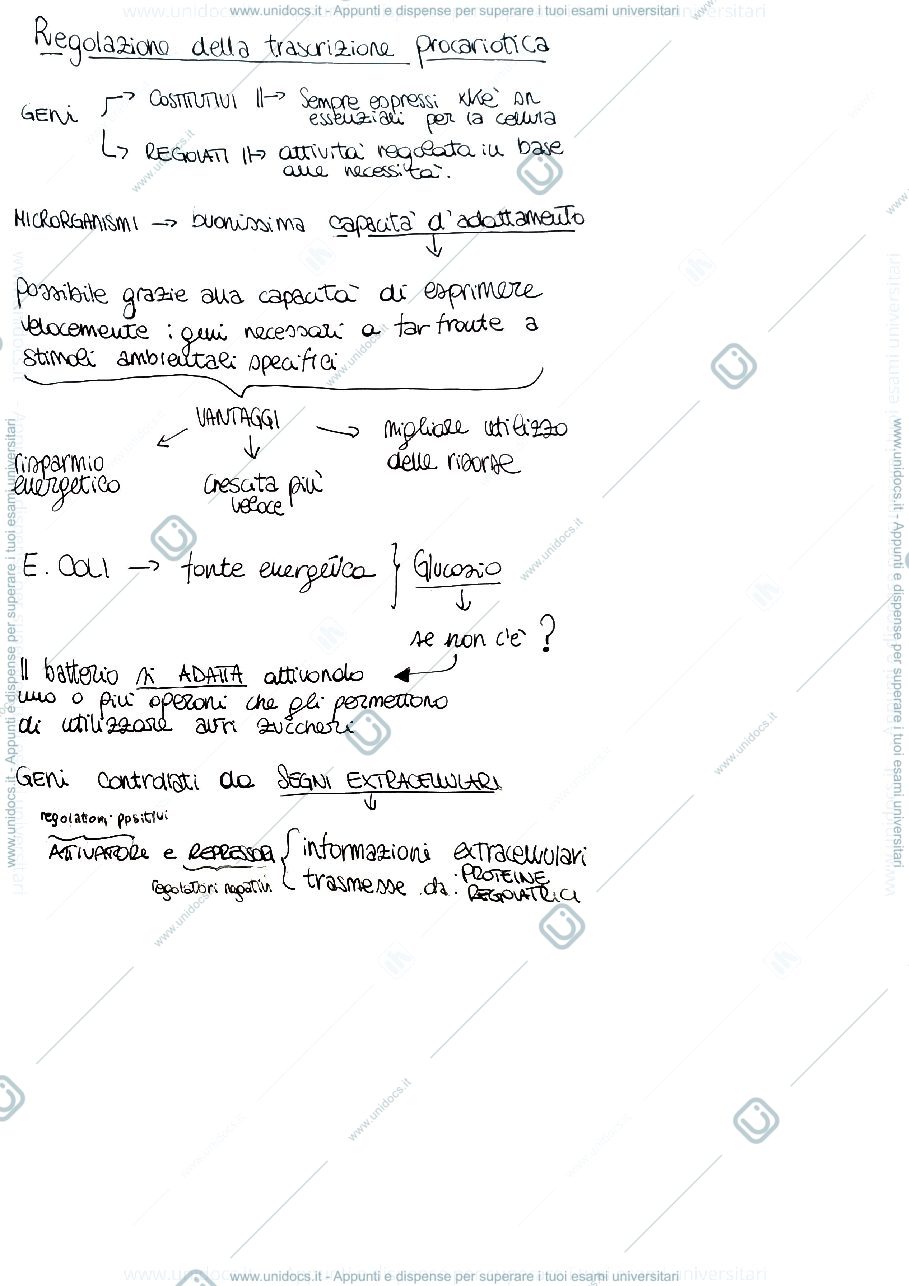 Anteprima pagina 1 — Regolazione trascrizione procariotica
