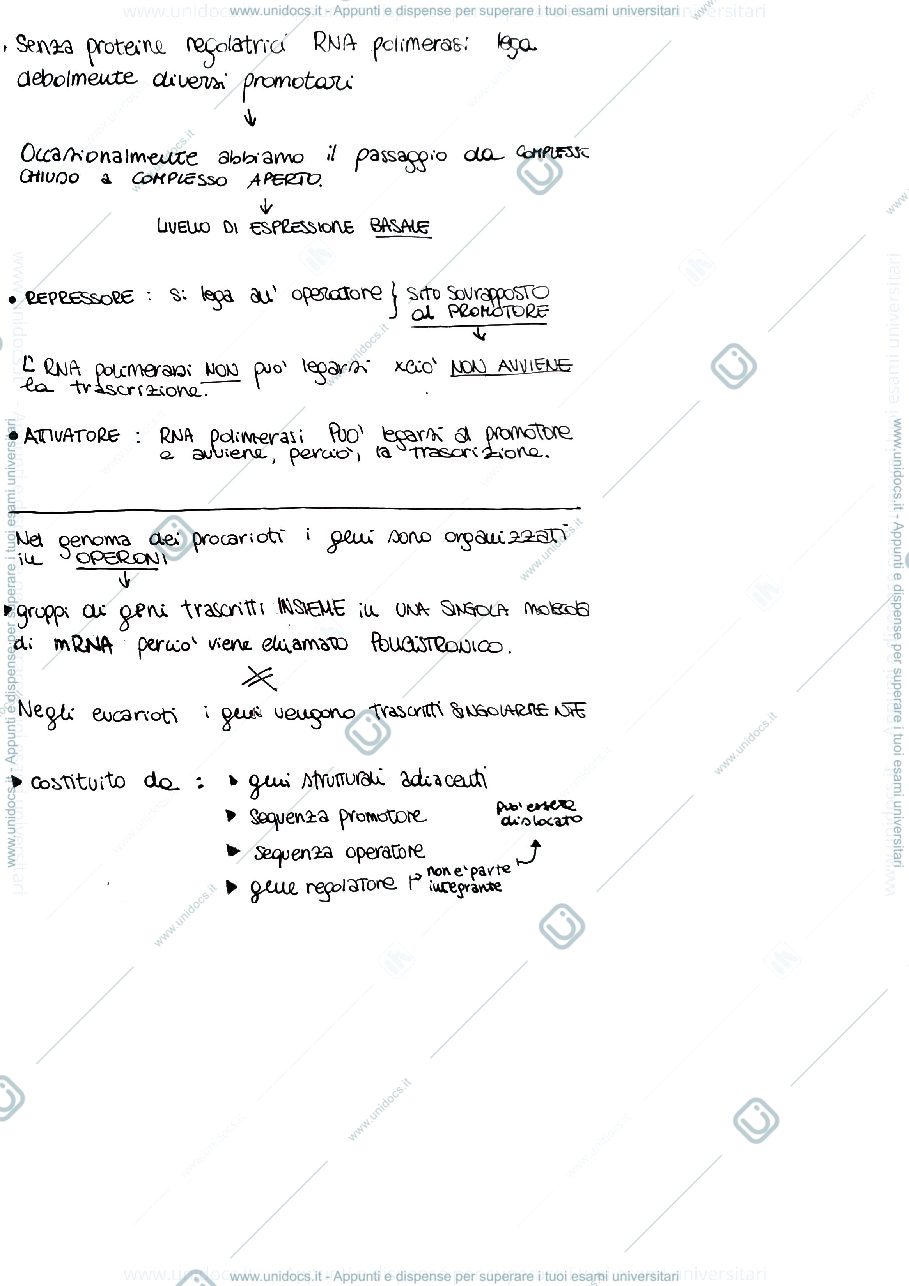 Anteprima pagina 2 — Regolazione trascrizione procariotica