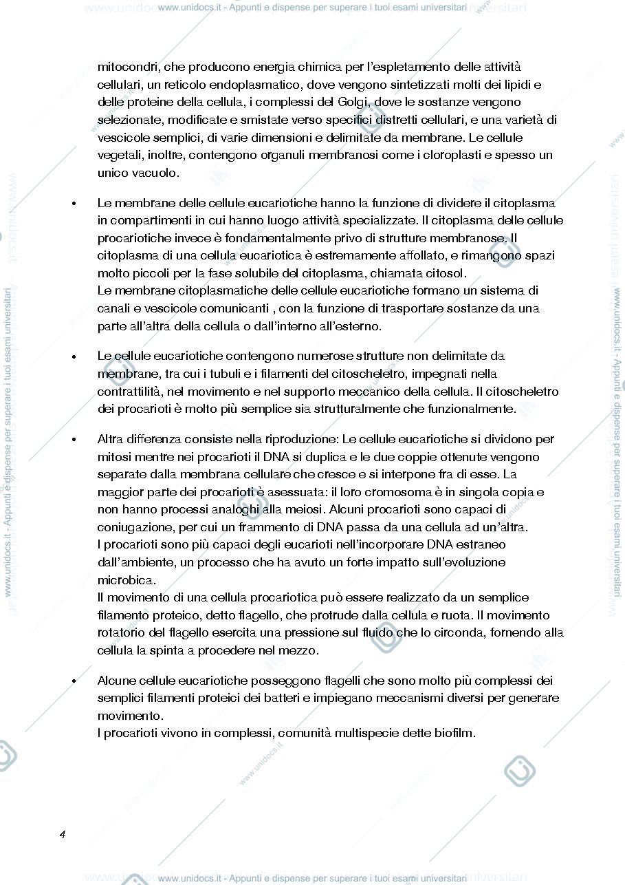 Anteprima pagina 4 — appunti biologia