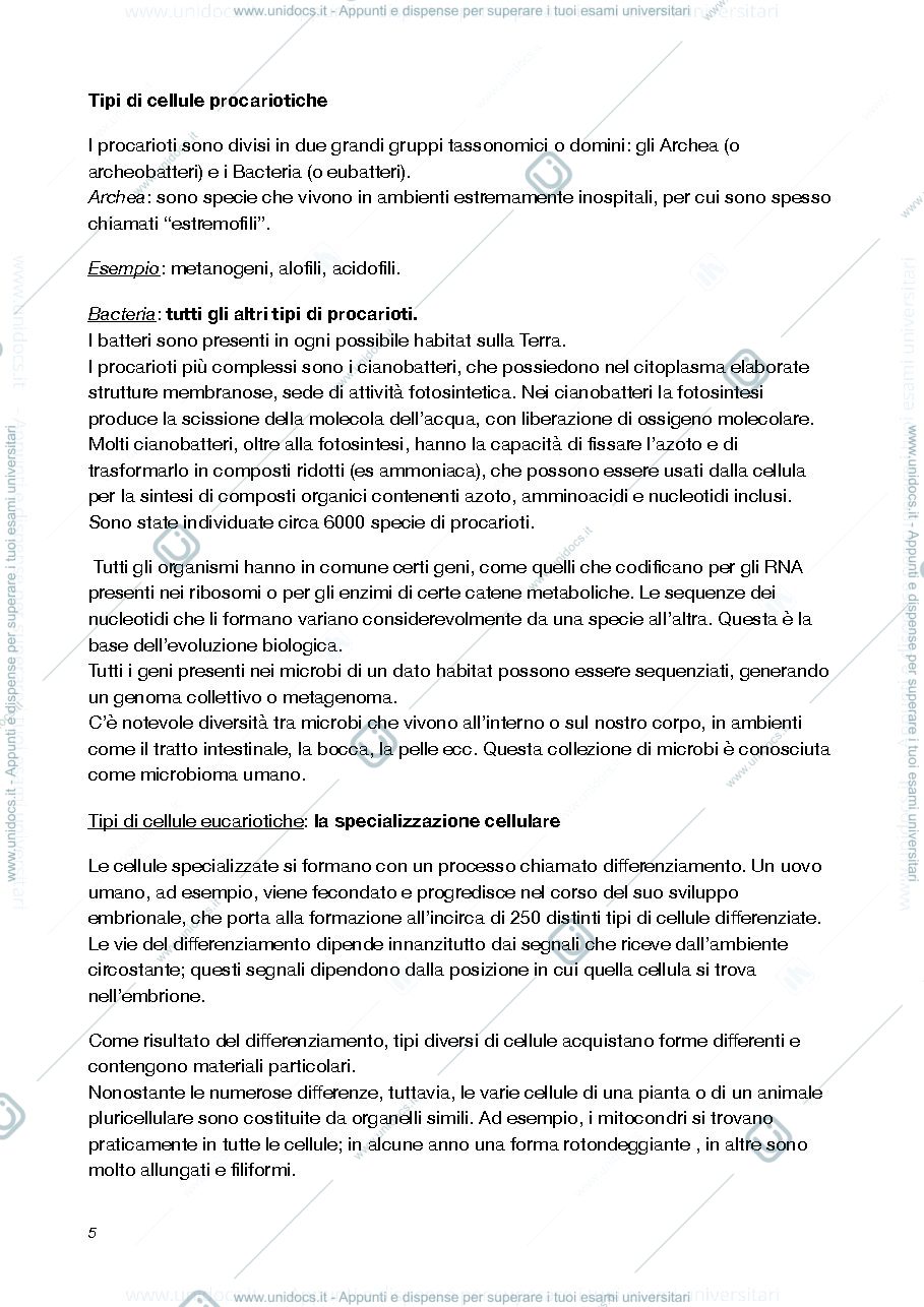 Anteprima pagina 5 — appunti biologia