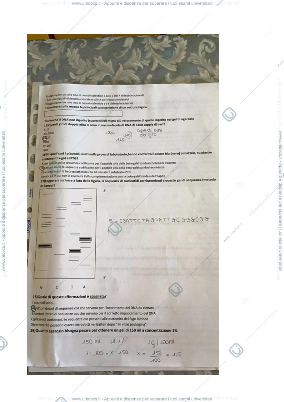 Anteprima pagina 1 — Esempio di Compitino di Biologia Molecolare