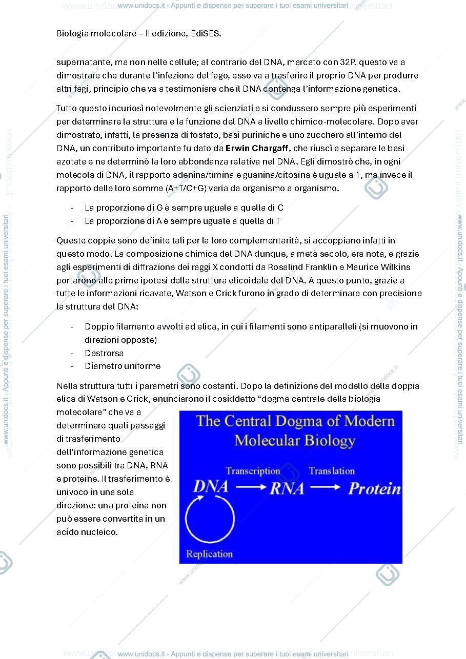 Anteprima pagina 2 — biologia molecolare del secondo anno (6CFU)