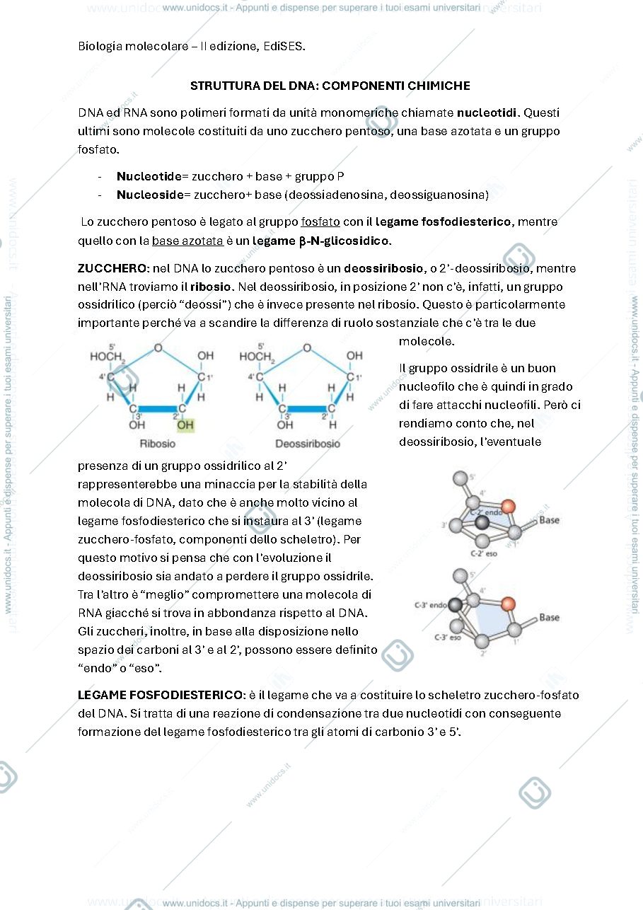 Anteprima pagina 3 — biologia molecolare del secondo anno (6CFU)