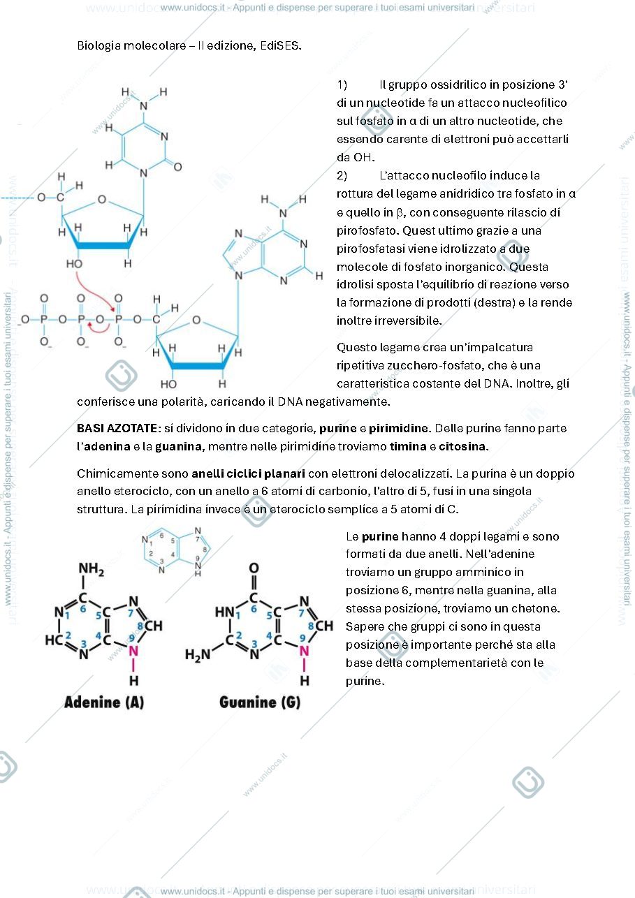 Anteprima pagina 4 — biologia molecolare del secondo anno (6CFU)