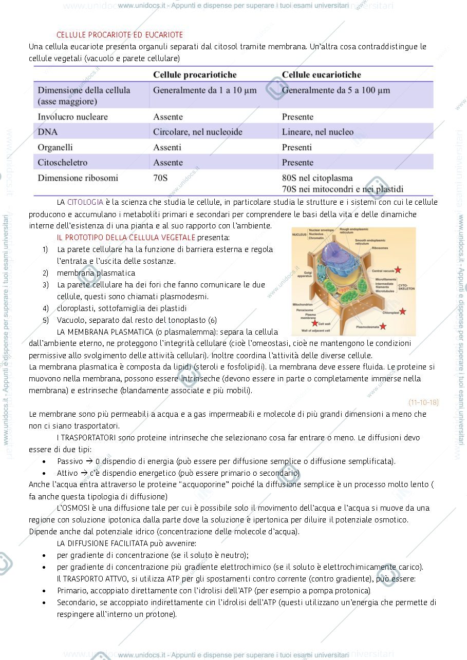Anteprima pagina 2 — biologia vegetale 