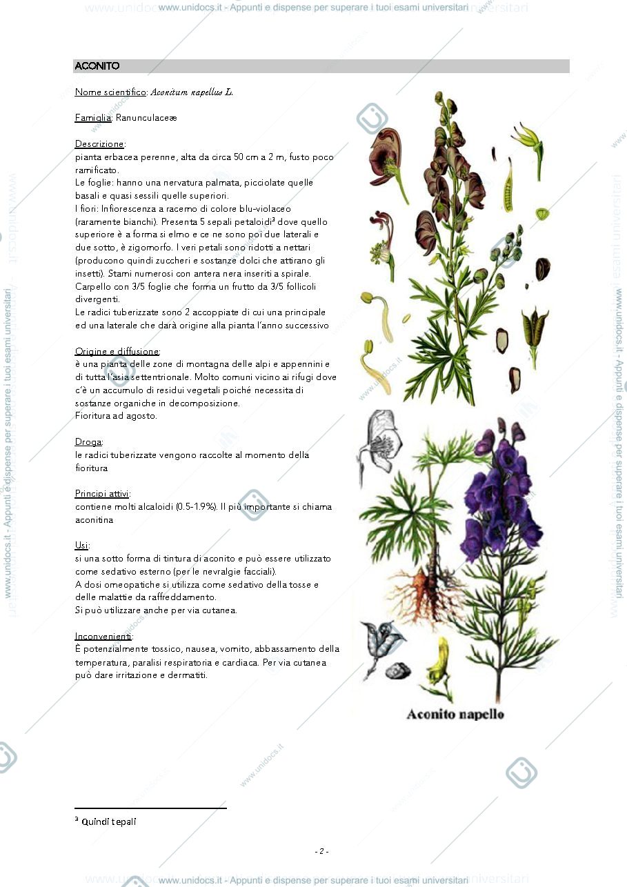Anteprima pagina 2 — monografie di botanica farmaceutica