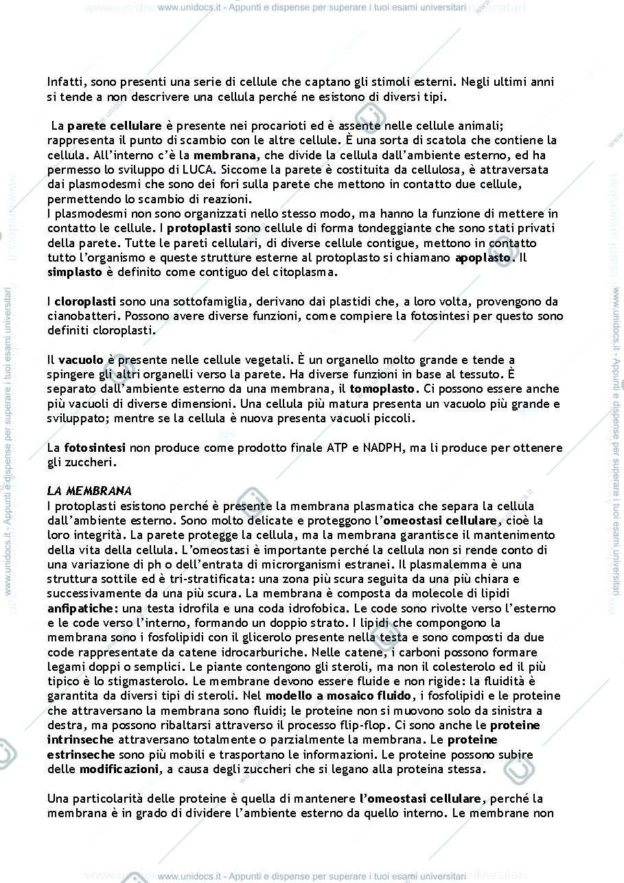 Anteprima pagina 2 — Appunti Biologia Vegetali 