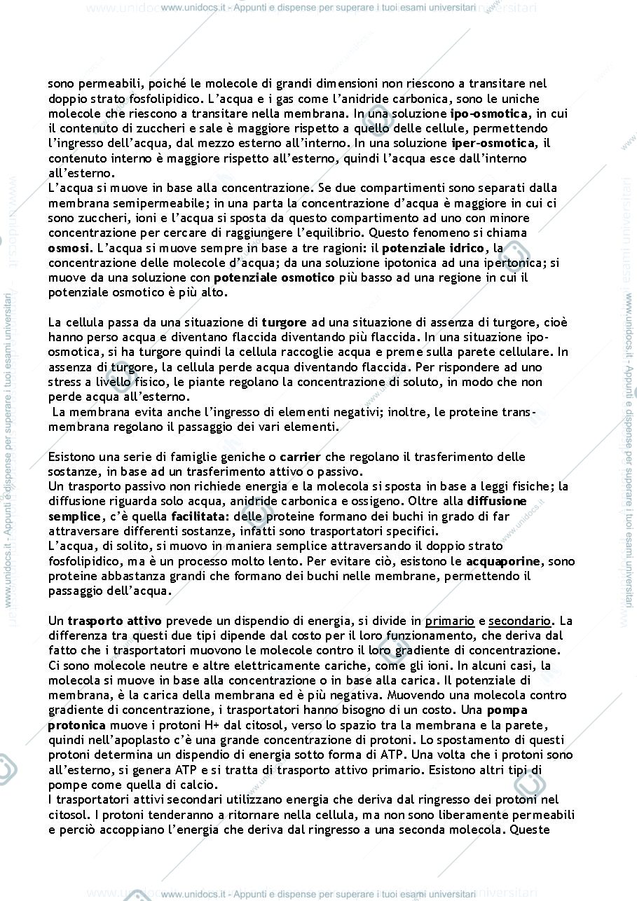 Anteprima pagina 3 — Appunti Biologia Vegetali 
