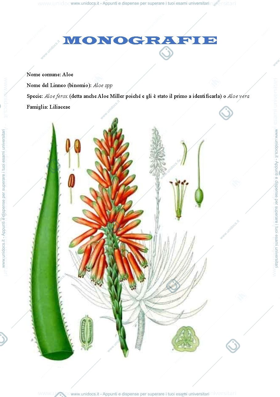 Anteprima pagina 1 — appunti monografie