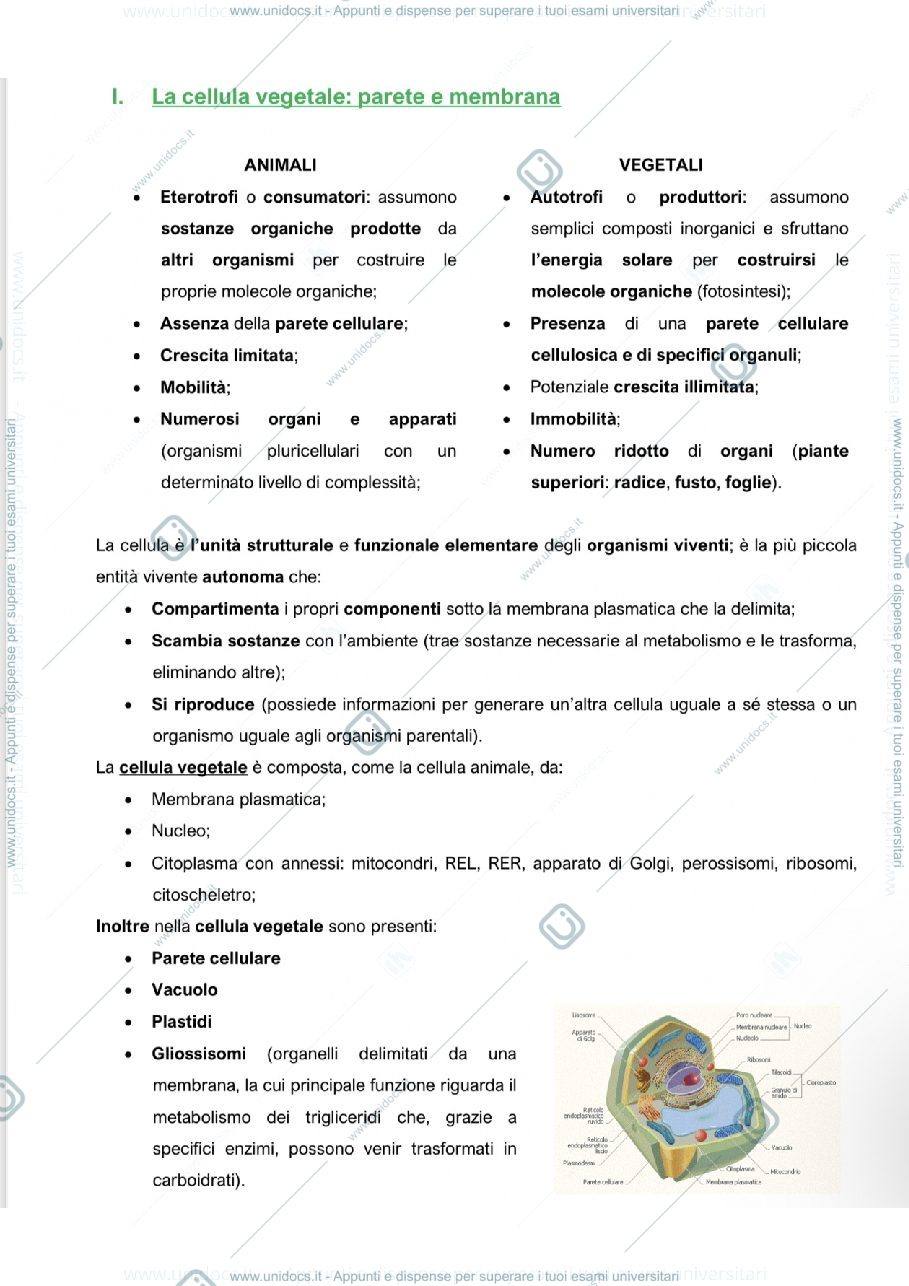 Anteprima pagina 1 — biologia vegetale 