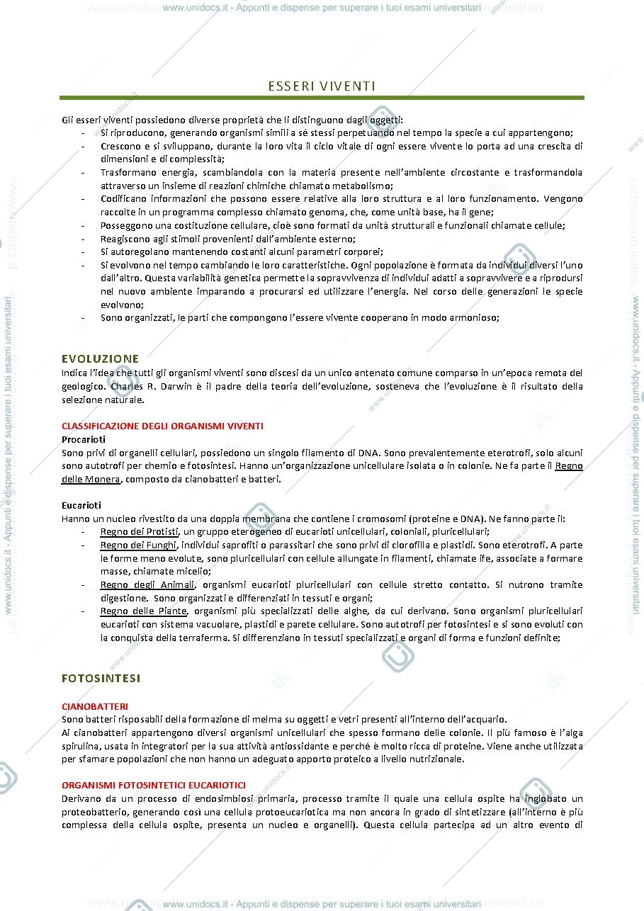 Anteprima pagina 1 — Appunti di biologia vegetale con elementi di sistematica