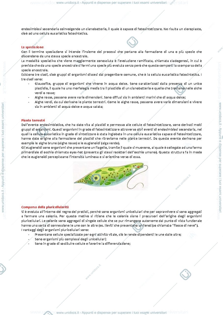 Anteprima pagina 2 — Appunti di biologia vegetale con elementi di sistematica