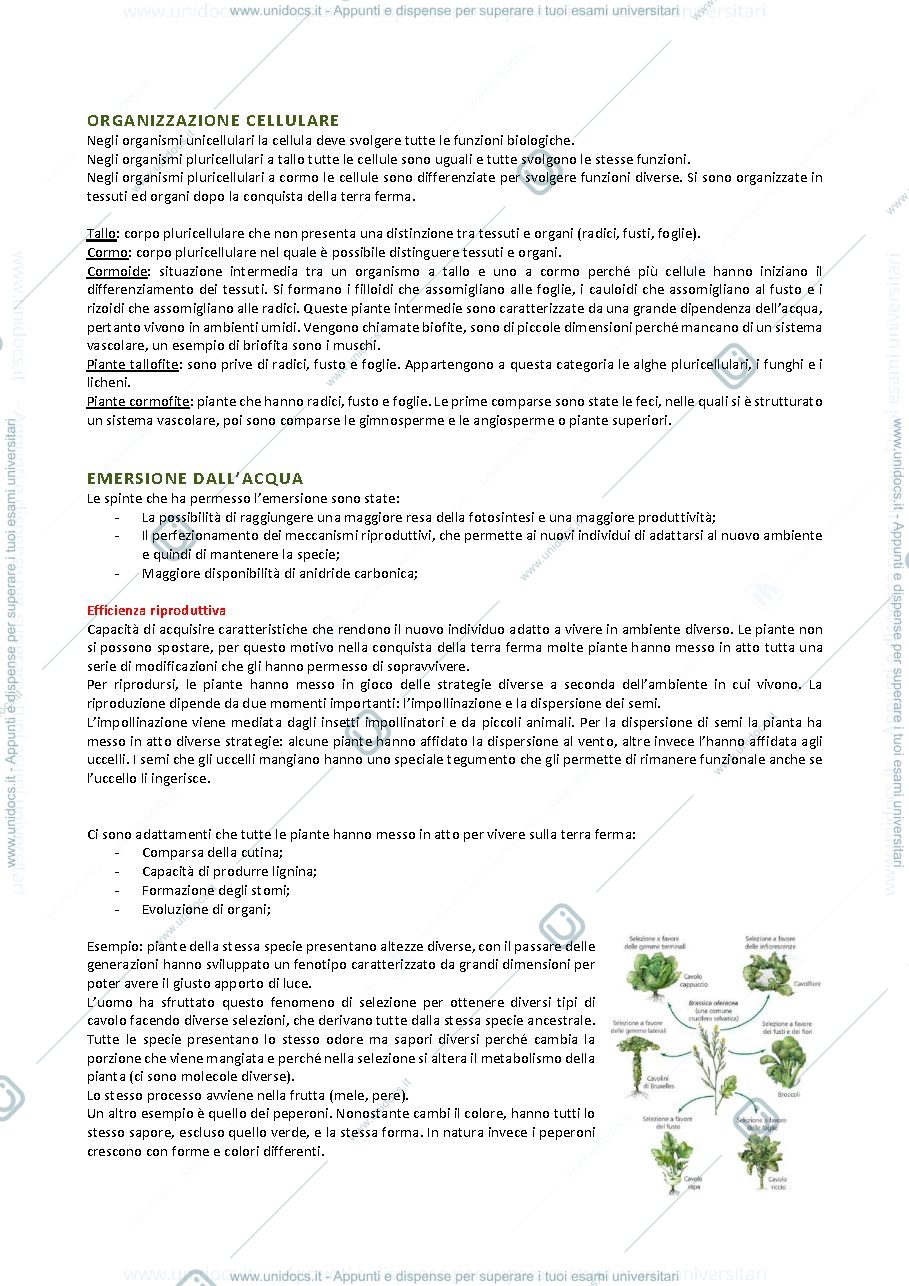 Anteprima pagina 3 — Appunti di biologia vegetale con elementi di sistematica