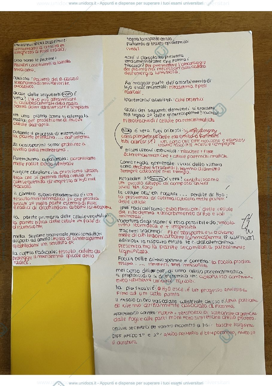 Anteprima pagina 1 — Domande d'esame di biologia vegetale con risposta (TA)