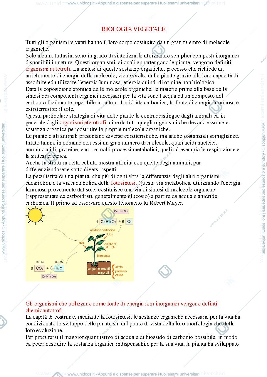 Anteprima pagina 1 — Biologia vegetale - appunti (parte iniziale)