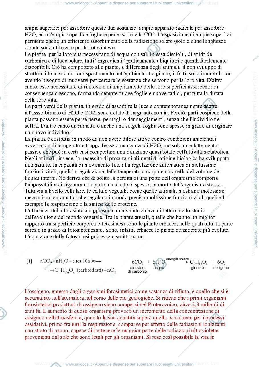 Anteprima pagina 2 — Biologia vegetale - appunti (parte iniziale)