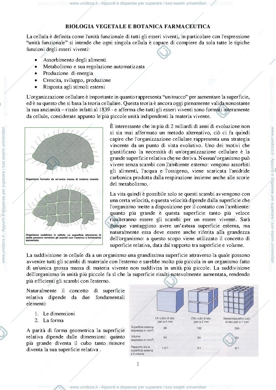 Anteprima pagina 2 — Sbobine Biologia Vegetale