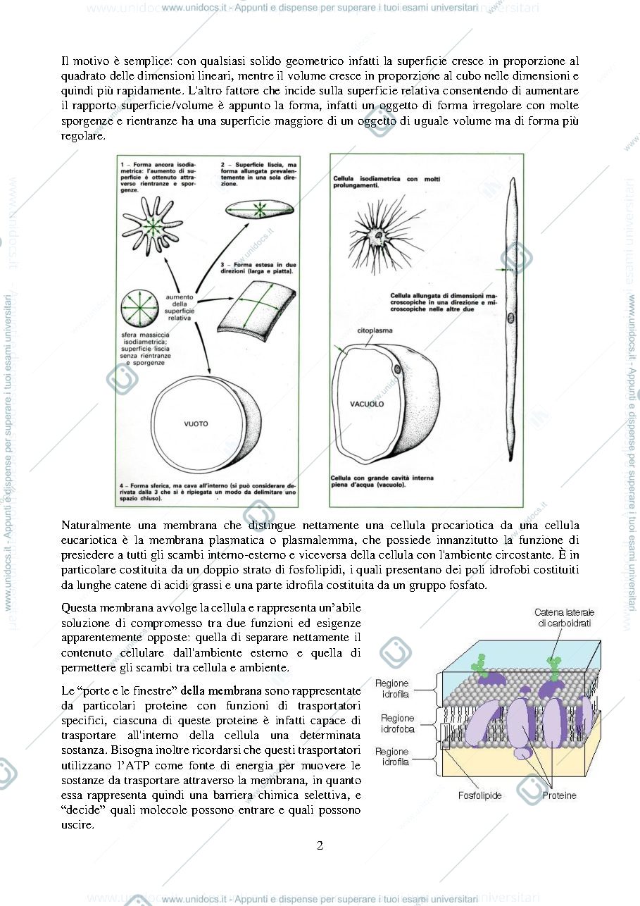 Anteprima pagina 3 — Sbobine Biologia Vegetale